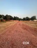 250 Sq.yrd sohna