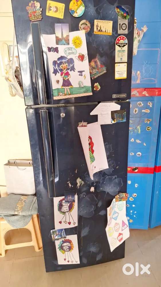 LG 310 litre fridge