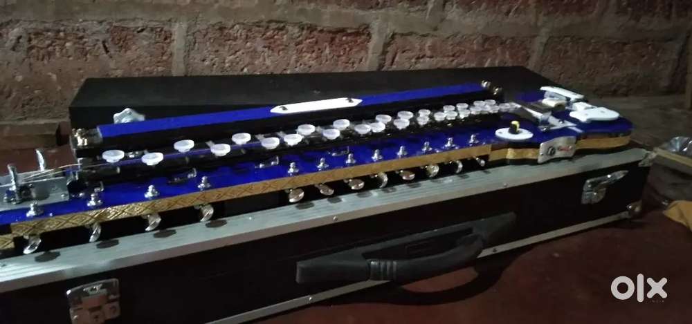 New swarmandal banjo price 18500