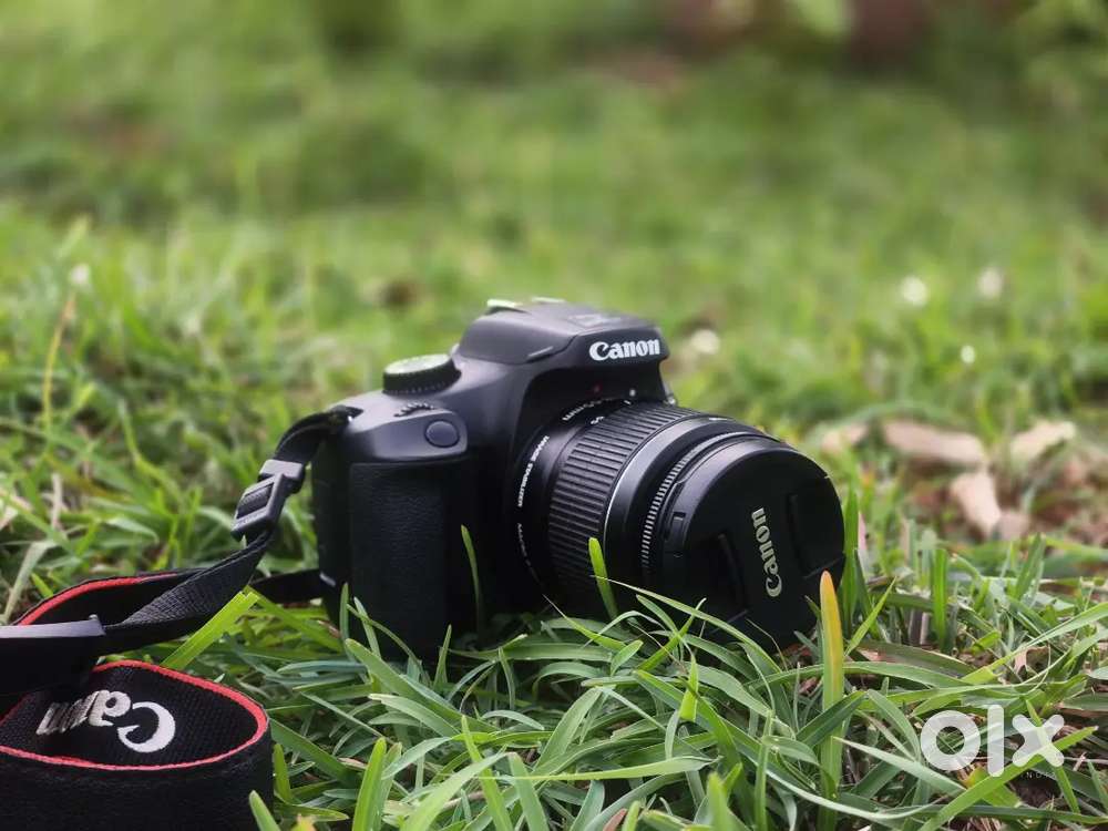 Canon camera 3000d