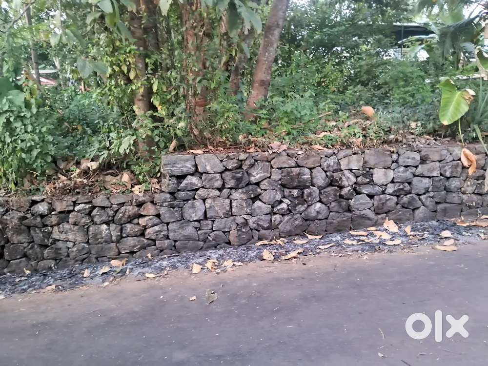 10/15 cent house plots just near st. Mary's school chevarambalam