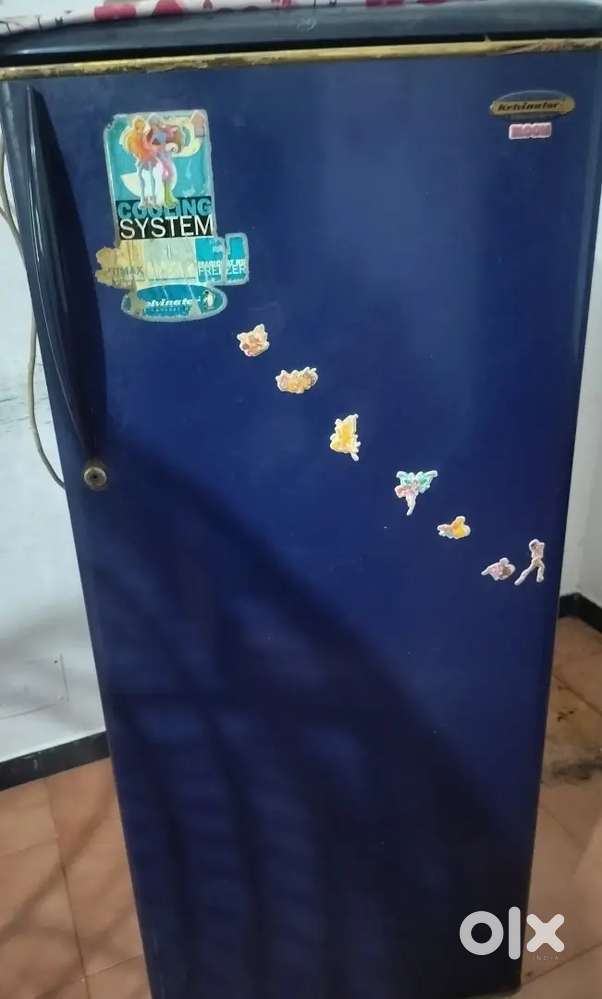 Kelvinator fridge