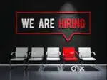 CUSTOMER SERVICE EXECUTIVE