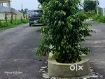 Sq.ft Plot in lucknow