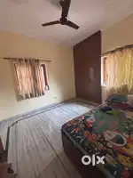 Need a female room mate