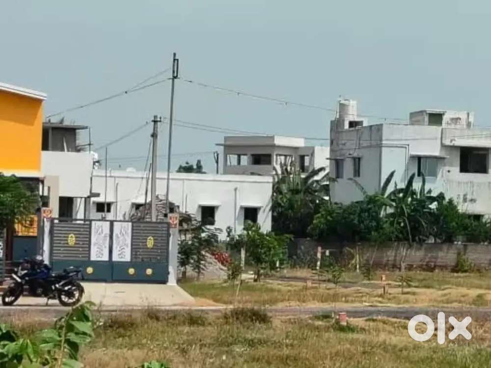 ONLY ONE SOUTH Facing Plot at Woraiyur Maruthandakurchi  ?