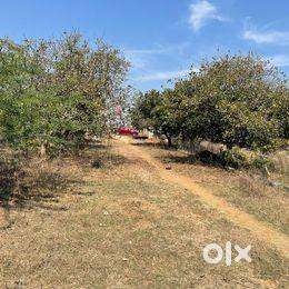 Residential plot for sale in Raigir near Unity College of Pharmacy