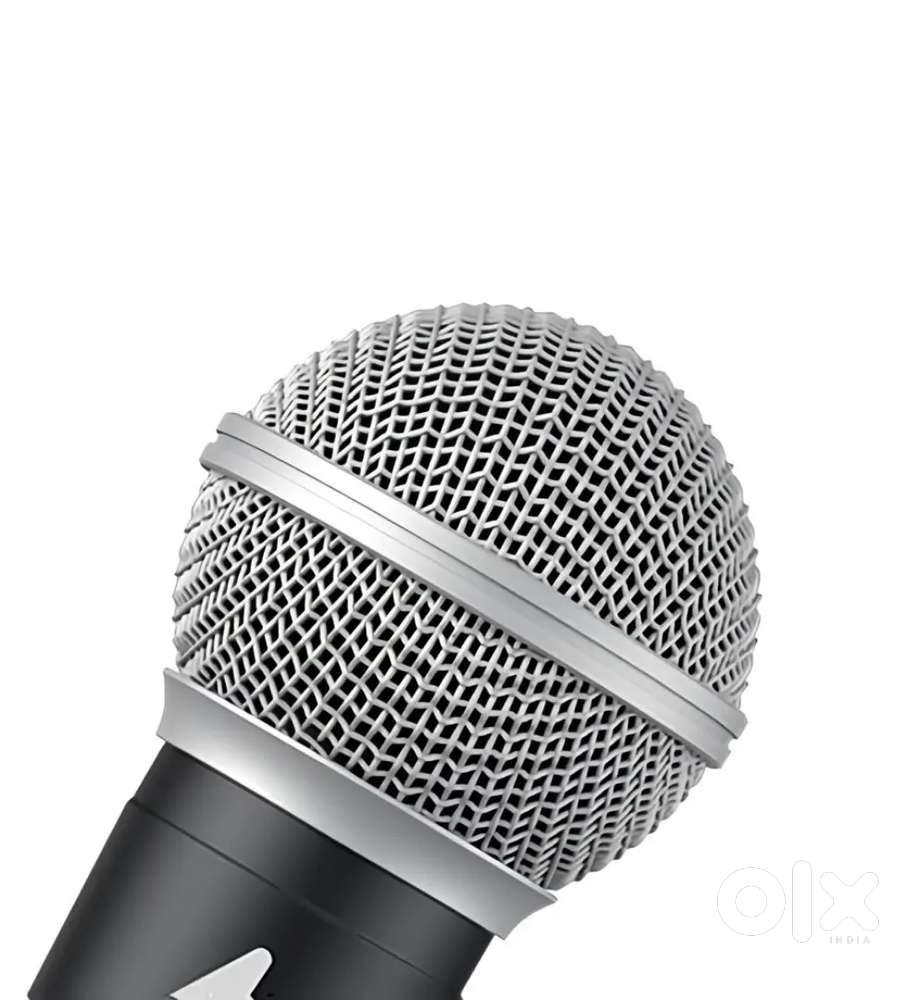 Microphone
