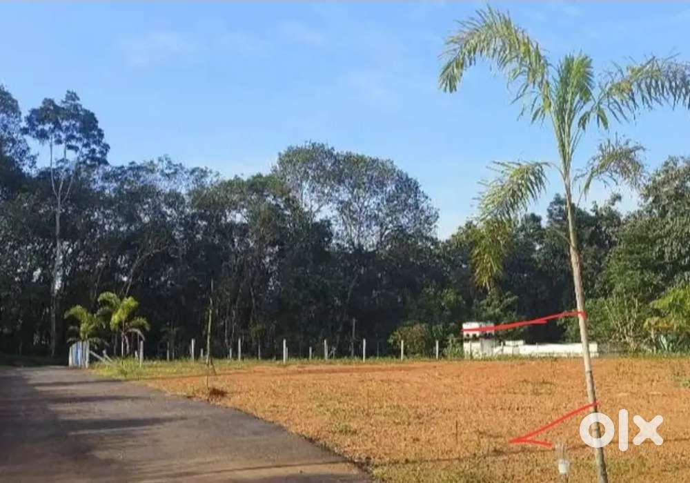 Land for sale near Ettumanoor - Pala Main Highway