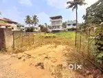 12 LAND FOR SALE AT THAMMANAM