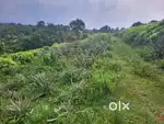 7.2 acre, 9.5 acre, 11.5 acre, 18 acre for sale