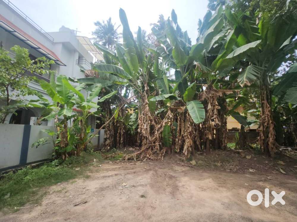 RESIDENTIAL PLOT FOR SALE NEAR PAPPANOMKODE (near Arakath Devi Temple)