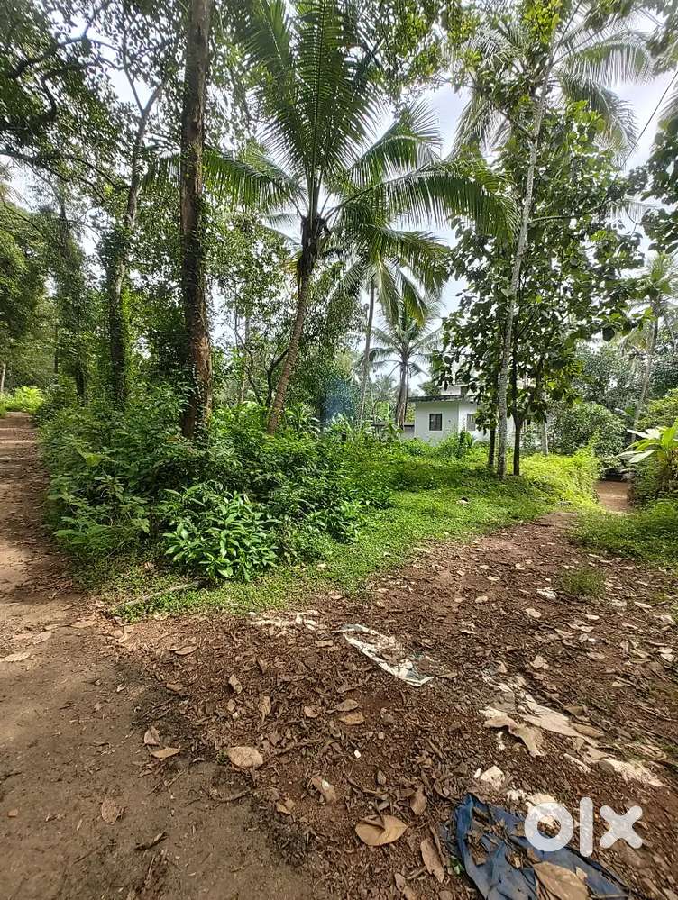 Urgent Sale – 15 Cent House Plot Available