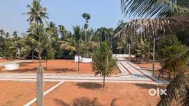 Villa plots for quick sale - Mala- Ashtamichira