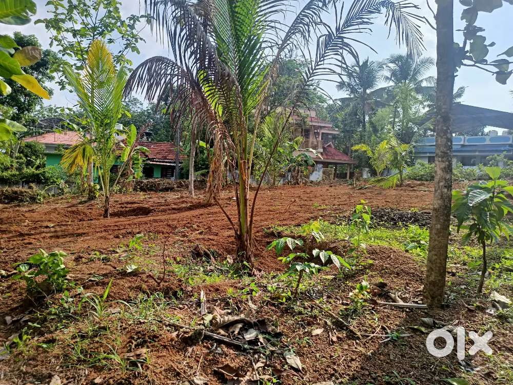 Plot for sale at Anchal town Sevn9zerosevñNinfour eigtsixzero8