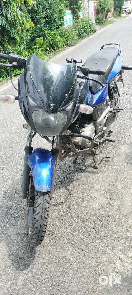 Pulsar 150cc  Fresh Tyres Superb Mileage  Single Owner Smooth Engine