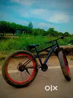 Fat bike cycle