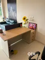 Office Sofa, one month old