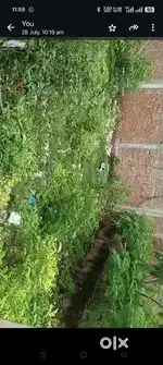 अत्यंत सुंदर प्लाट नियर ऑफ अशोक विहार फेस २
