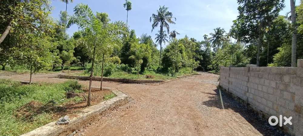 5,6,8, 10, 20, CENT PLOTS ചാലക്കുടി മേലൂർ പള്ളിക് സമീപം ബസ്സ് റൂട്ടിൽ