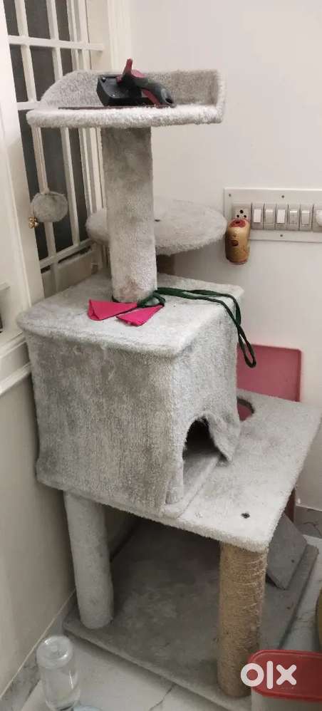 Cat house  ...playing house new one