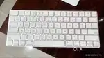 Apple magic keyboard (Original) verifiable