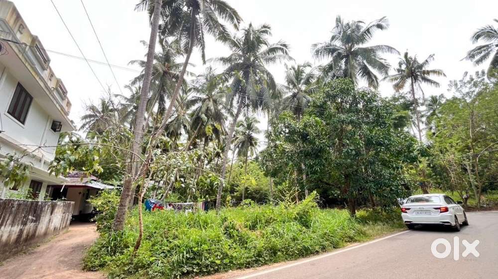 12.36 cent plot near to kottapadi St. Lazer’s church  Guruvayur