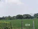 Agriculture land sale pondicherry Thirukanur