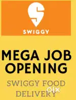 Swiggy food delivery boy