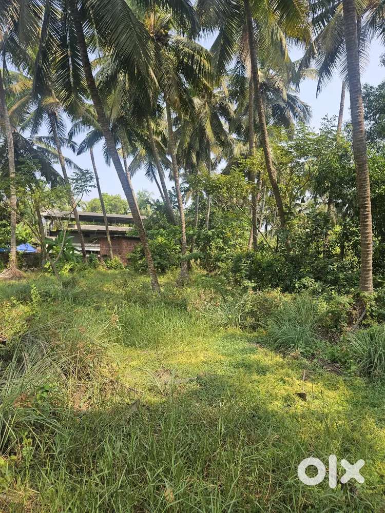 7 cent Housing Plot at Ambalapuram Cherukunnu
