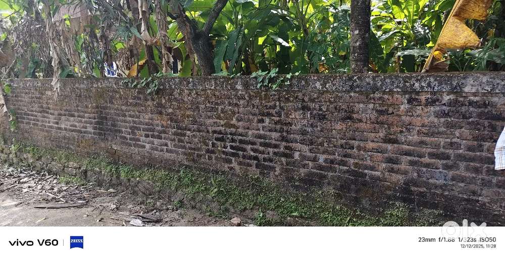 5/10/120 CENT PRIME RESIDENTIAL PLOT FOR SALE NEAR KUDAPPANAKUNNU