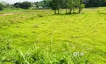 Parambu for sale, behind Chittur firestation, Palakkad