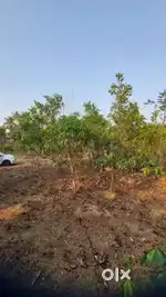 Land for Sale near Ammadam Church