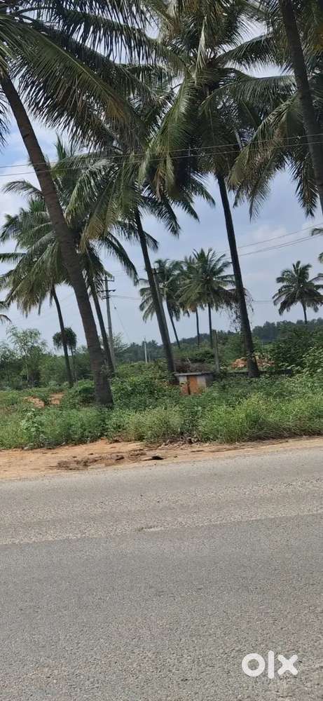 Malur land project in front of bangalore hosur highway