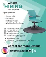 Work from home online