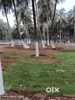 25 lakhs 10 cent coconut trees sale in othakalmandampam