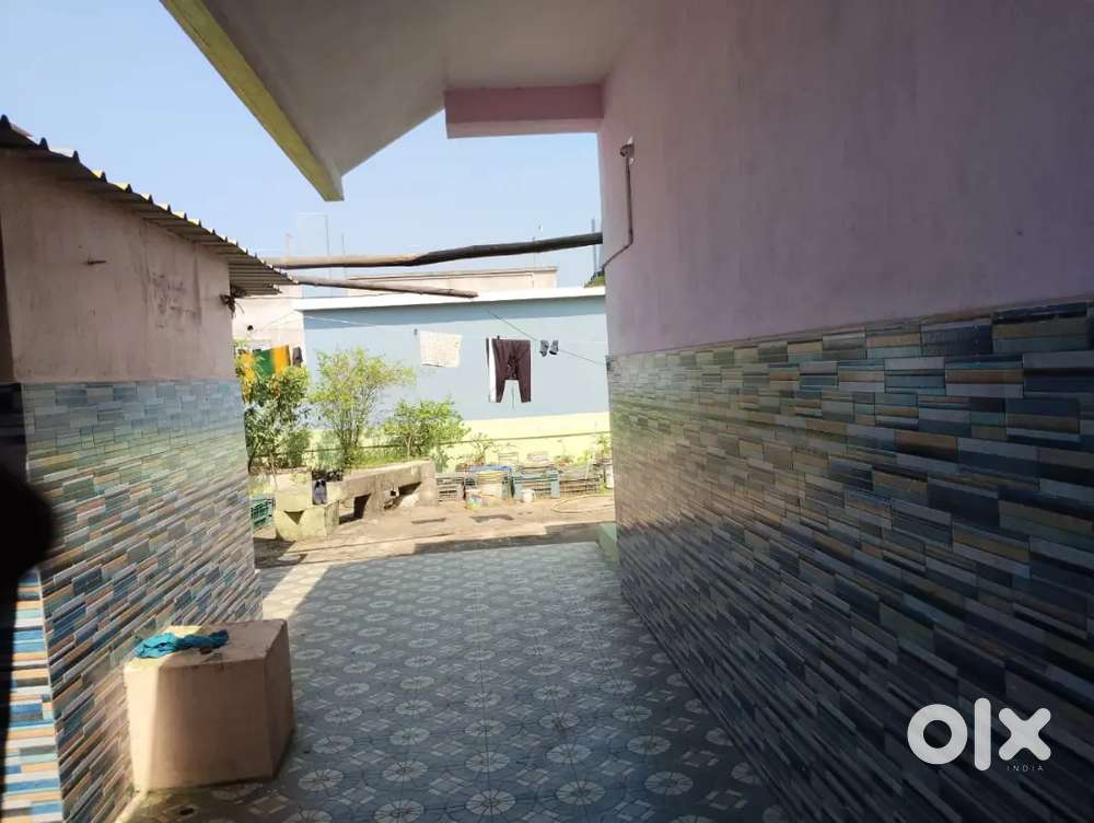 Need a girl room mate