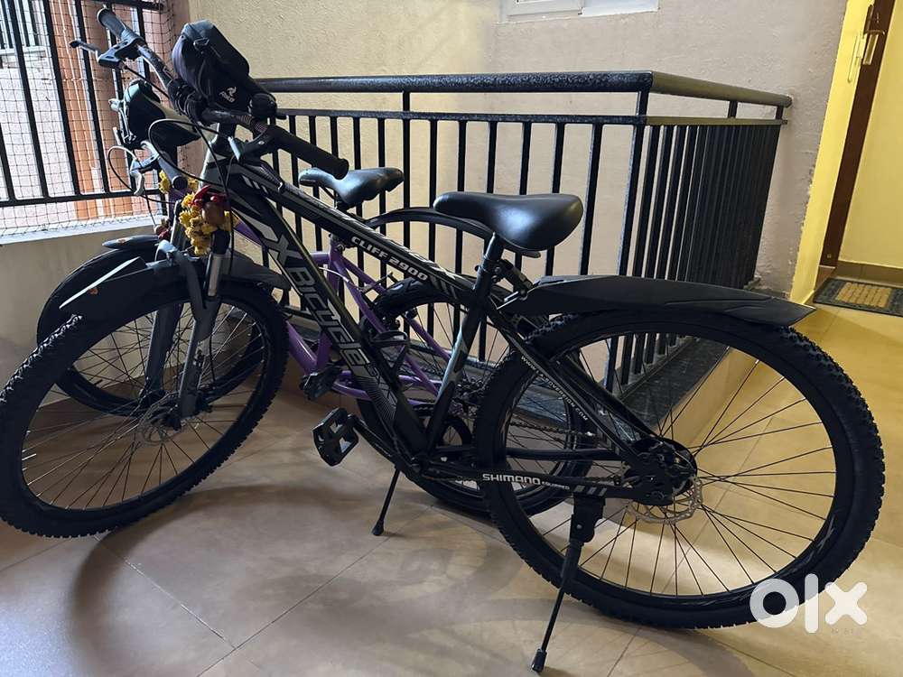 x bicycle cliff 29 inches