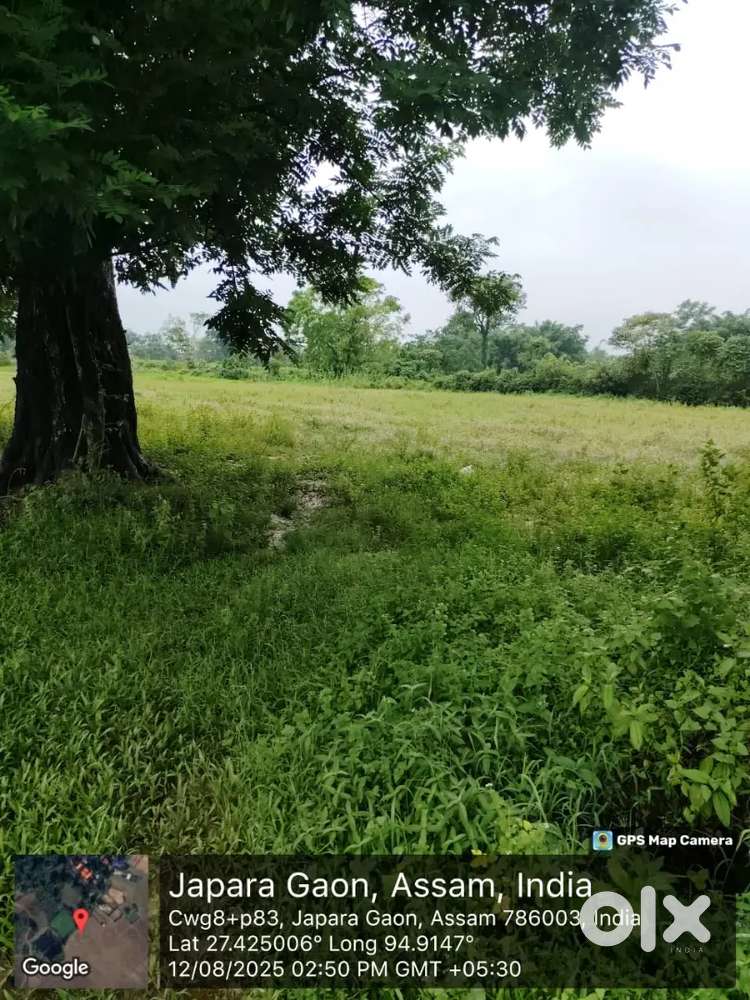 Land with Assam type house