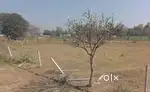 NA Plot For Sale At Jalalpur