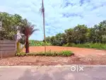 8.5 cent land for sale Kakkanad near infopark