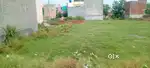 150 gaj plot