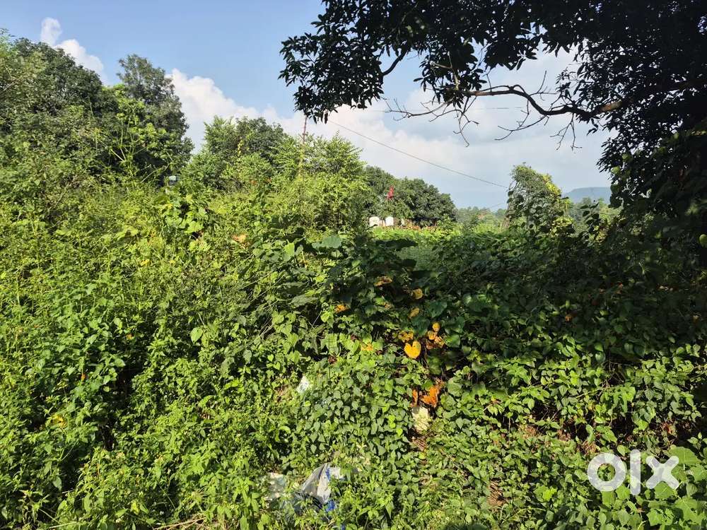 Your Perfect Second Home Awaits in a Calm