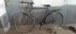 hawk cycle