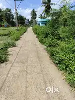 Kolamuru Rajahmundry