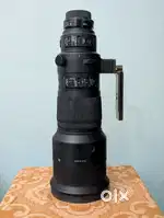 Camera lens : Sigma,  f/4 500mm Lens.