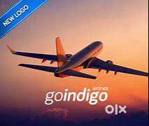 Female Candidates Freshers & Experience  Apply Fast Join Us Indigo Air