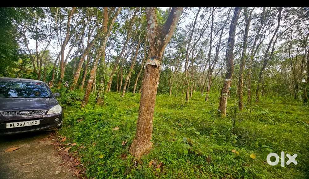 Full 43 Cent and Retail sale of 10 and 20 Cent