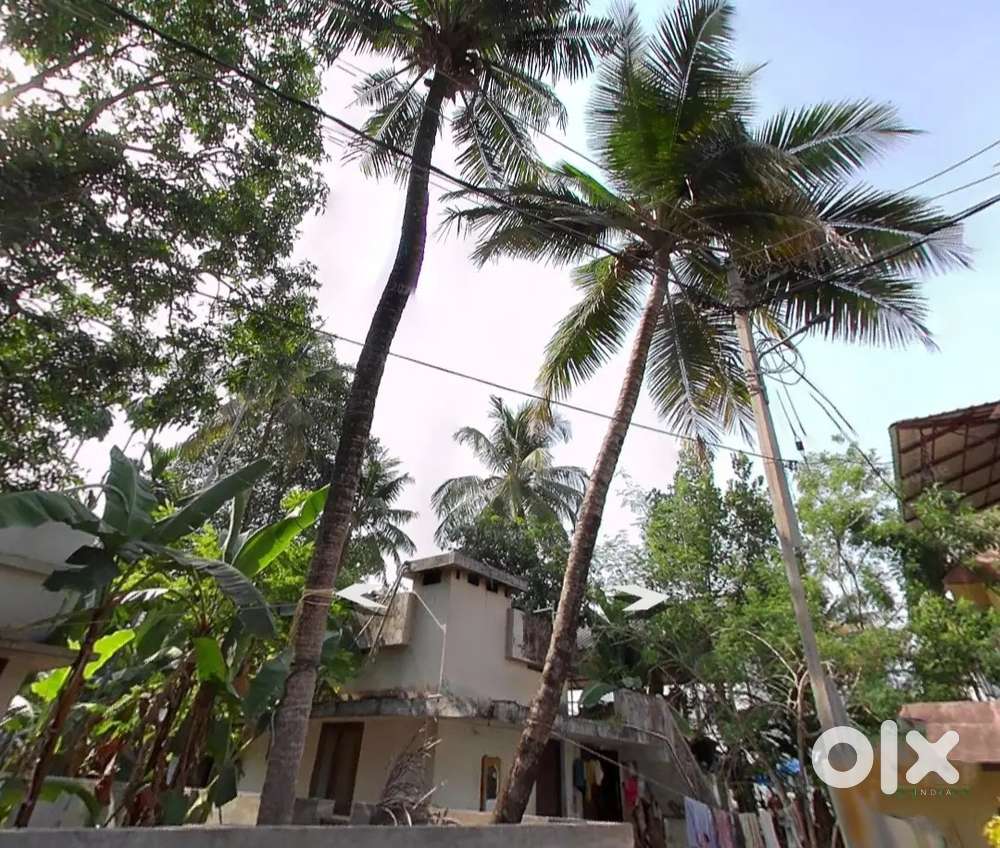 Residential Plot for Sale Near KINFRA, Kalamassery