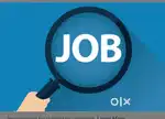Back office work and computer basic need